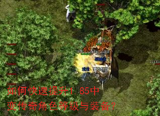 如何快速提升1.85中变传奇角色等级与装备? 如何快速提升1.85中变传奇角色等级与装备?