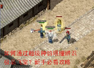 如何通过超级种鸽眼瞳辨识极品飞宠?新手必看攻略 如何通过超级种鸽眼瞳辨识极品飞宠?新手必看攻略