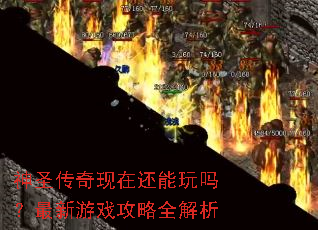 神圣传奇现在还能玩吗?最新游戏攻略全解析 神圣传奇现在还能玩吗?最新游戏攻略全解析