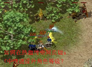 如何在热血传奇网页版sf中快速提升角色等级? 如何在热血传奇网页版sf中快速提升角色等级?