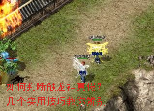 如何判断触龙神真假?几个实用技巧教你辨别 如何判断触龙神真假?几个实用技巧教你辨别