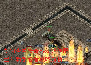 ��β鿴������Ϸ�������ã����ֱؿ����Խ���