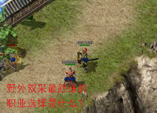 野外双采最舒适的职业选择是什么? 野外双采最舒适的职业选择是什么?