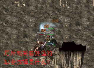 Ұ��˫�������ʵ�ְҵѡ����ʲô��