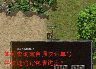 如何查询鑫自强快运单号并快速追踪包裹进度? 如何查询鑫自强快运单号并快速追踪包裹进度?
