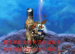 ���䵥ְҵ����������������ο�������ս����ȼ���