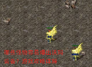 哪些怪物容易爆出沃玛装备?游戏攻略详解 哪些怪物容易爆出沃玛装备?游戏攻略详解