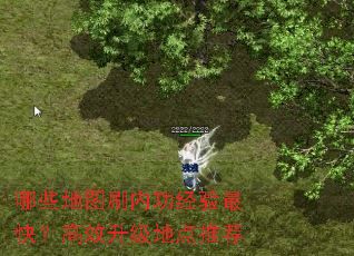 哪些地图刷内功经验最快?高效升级地点推荐 哪些地图刷内功经验最快?高效升级地点推荐