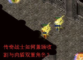 传奇战士如何兼顾收割与肉盾双重角色? 传奇战士如何兼顾收割与肉盾双重角色?