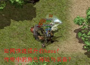 如何快速提升在haosf传奇中的角色等级与装备? 如何快速提升在haosf传奇中的角色等级与装备?
