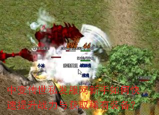 中变传世私发服网新手如何快速提升战力与获取稀有装备? 中变传世私发服网新手如何快速提升战力与获取稀有装备?