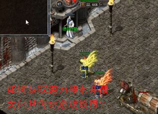 如何获取道力神水并最大化其传奇游戏效用? 如何获取道力神水并最大化其传奇游戏效用?
