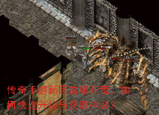 传奇手游新区首服开荒,如何快速升级与获取神装? 传奇手游新区首服开荒,如何快速升级与获取神装?