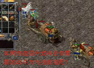 如何快速提升武神圣帝萧晨的战斗力与技能搭配? 如何快速提升武神圣帝萧晨的战斗力与技能搭配?