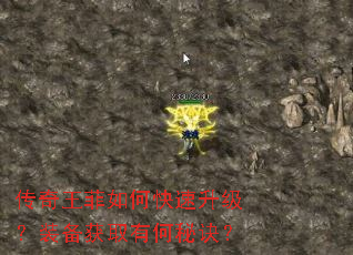 传奇王菲如何快速升级?装备获取有何秘诀? 传奇王菲如何快速升级?装备获取有何秘诀?
