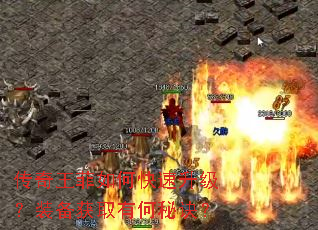 传奇王菲如何快速升级?装备获取有何秘诀? 传奇王菲如何快速升级?装备获取有何秘诀?