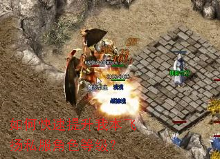 如何快速提升我本飞扬私服角色等级? 如何快速提升我本飞扬私服角色等级?