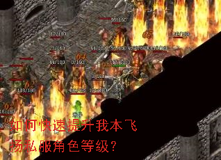 如何快速提升我本飞扬私服角色等级? 如何快速提升我本飞扬私服角色等级?