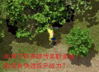 如何下载英雄传单职业辅助器并快速提升战力? 如何下载英雄传单职业辅助器并快速提升战力?